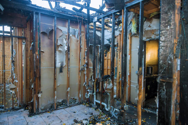 Professional Smoke Damage Removal technician working in University, MS